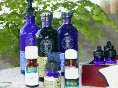 �A���}�g���[�g�����g