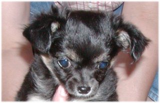 �`���R�Ł`��